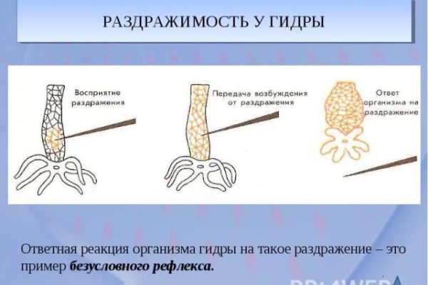Официальная ссылка на кракен в тор