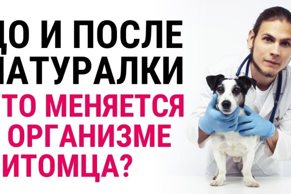 Кракен дарк ссылка